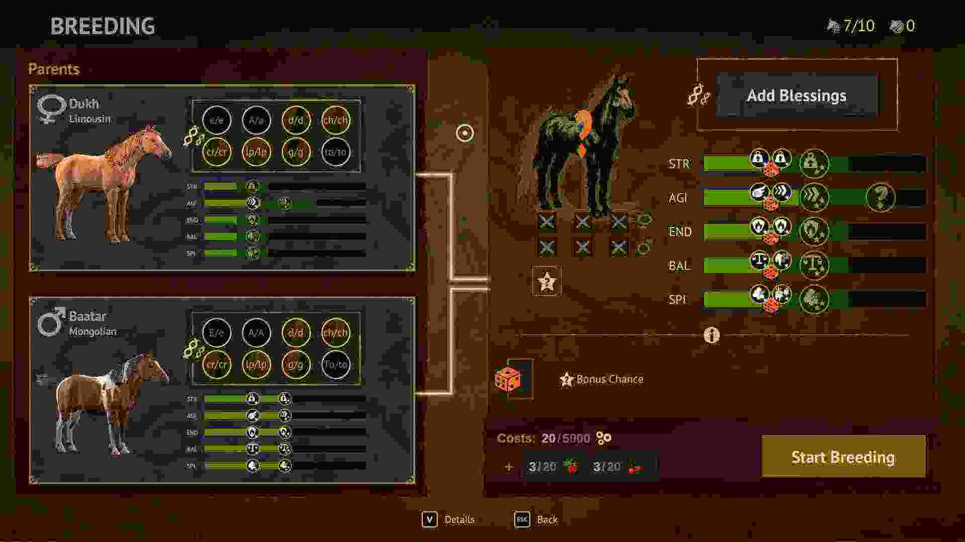 风马传说/The Legend of Khiimori