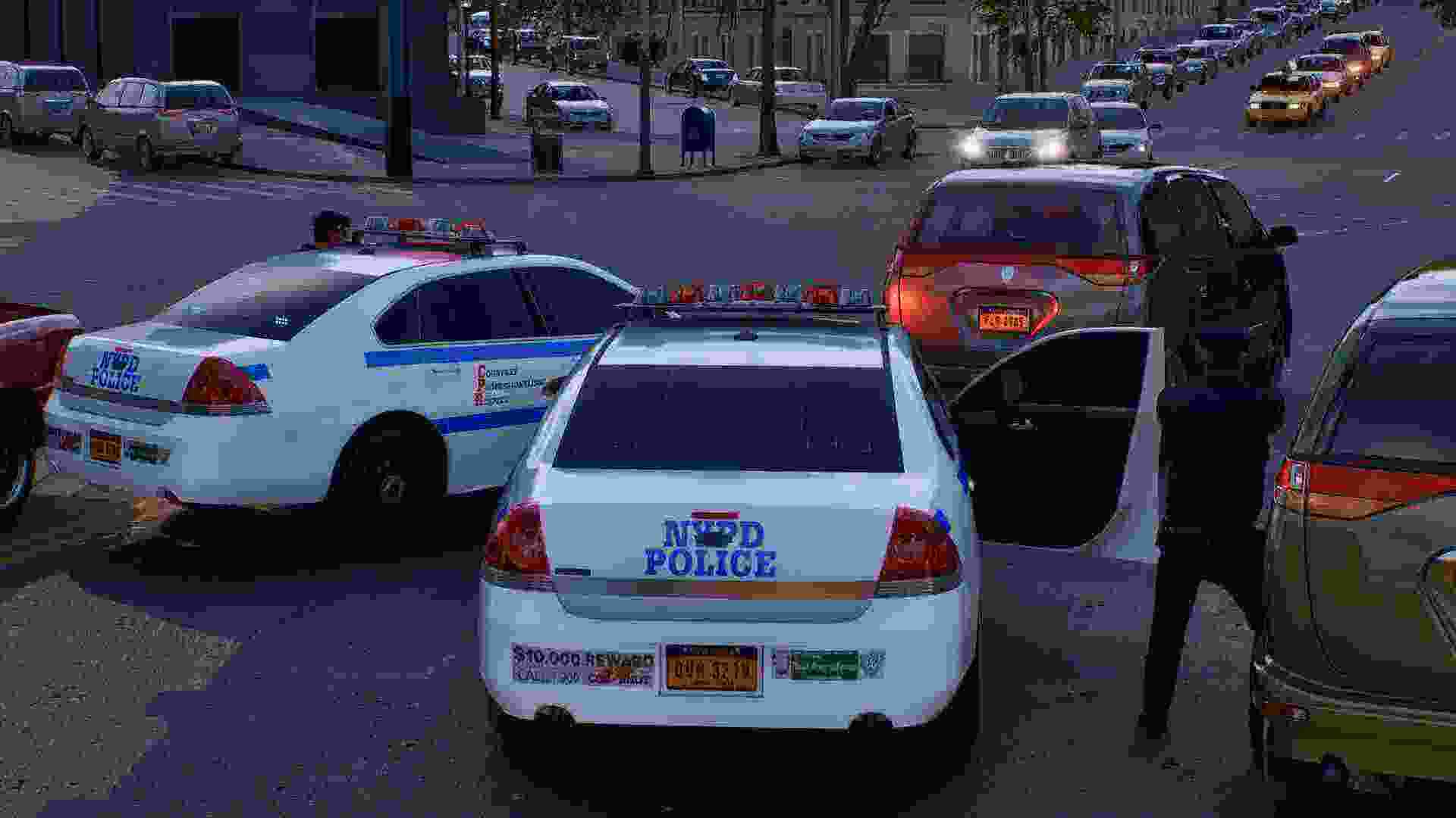 回应/Responding（v0.852.3）