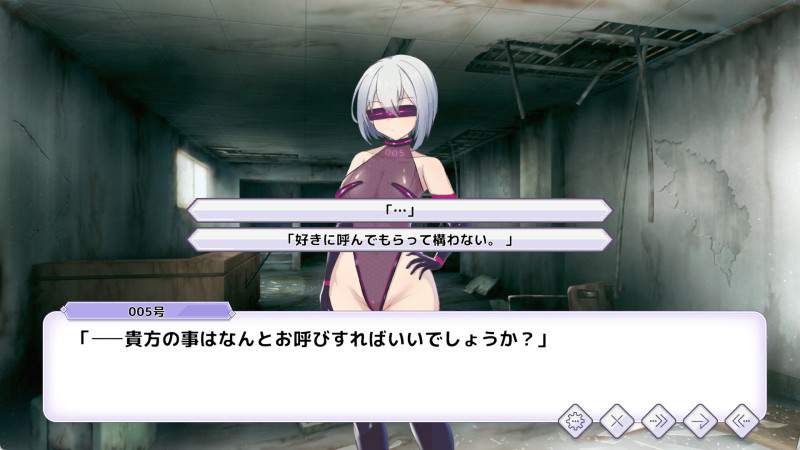 圣核战姫DX/Operation Darkside DX（当前版本已升至v2.8）