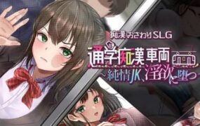 通学痴汉车厢